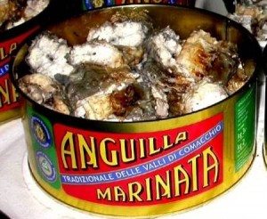 Anguilla marinata di Comacchio